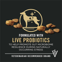 Purina Pro Plan Turkey & Rice Shredded Blend Dry Dog Food with Probiotics – 15 lb Bag