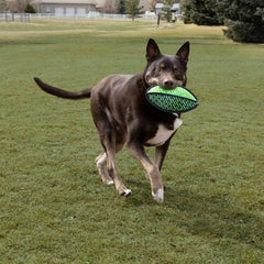 KONG Armor Football Assorted Dog Toy – Medium, Heavy-Duty Fabric Fetch & Chew Toy