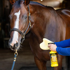PYRANHA Wipe N' Spray for Horses