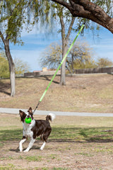 Jolly Pets® Tree Tugger – Green