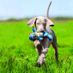 KONG Cross Knots Monkey Dog Toy – Medium/Large