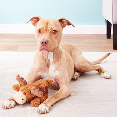 KONG Cozie Marvin Moose Plush Dog Toy (Medium Dogs)