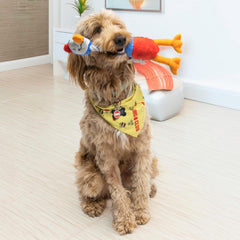KONG Bendeez Dog Toy – Large (Bird)