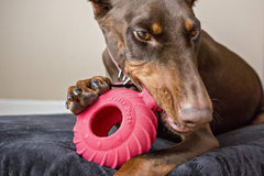 Jolly Pets® Jolly Tuff Treader