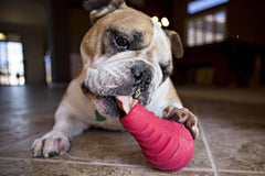 Jolly Pets® Jolly Tuff Toppler – 5" Red