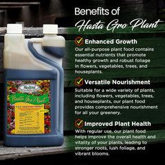 Medina® HastaGro 6-12-6 Plant Food