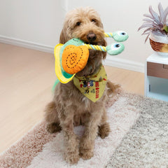 KONG Bendeez Dog Toy – Snail (Large)