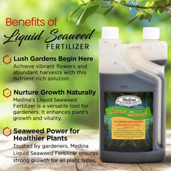 Medina® Liquid Seaweed