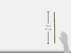 Galápagos Mossy Terrarium Sticks