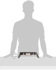 Loving Pets Black Label Collection Rustic Bone Diner for Dogs, 1-Pint, Aged Copper