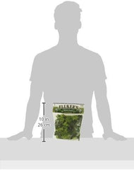 Fluker's REPTA Vine English Ivy