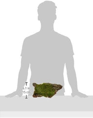 Galápagos Basking Bark, Sheet Moss, 1 Pc.