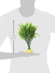 Exo Terra Boxwood Bush Terrarium Plant