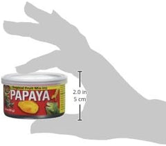 Zoo Med Tropical Fruit Mix-ins Papaya Reptile Food