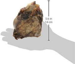 Barkworthies Knuckle Bone Beef Fillet Dog Chew for Medium & Large Breed Dogs