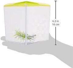 Lee's Triangle Betta Keeper