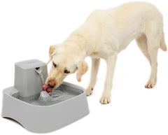 Drinkwell - PetSafe Oasys 2 Gallon Pet Fountain