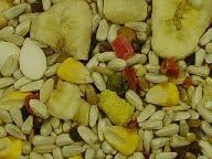 Volkman Seed Avian Science Super Hookbill