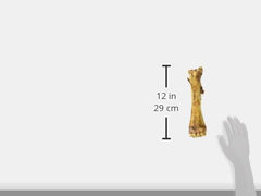 Barkworthies Smoky Shin Bone