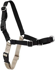 PetSafe Easy Walk No-Pull Dog Harness - The Ultimate Harness to Help Stop Pulling - Take Control & Teach Better Leash Manners - Helps Prevent Pets Pulling on Walks, Petite/Small