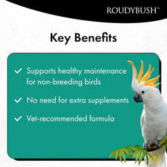 Roudybush Daily Maintenance Bird Food Mini Pellets – 22 oz