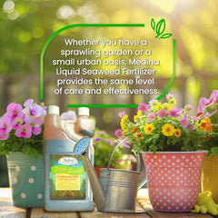 Medina® Liquid Seaweed