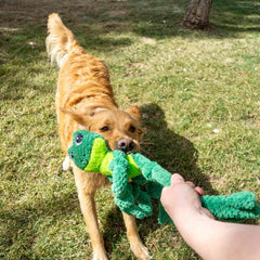 KONG Knots Frog Dog Toy with Inner Rope Skeleton Large / Extra Large Dogs