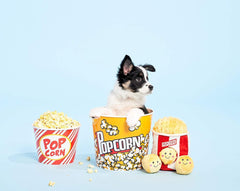 ZippyPaws Burrow, Food Buddies Popcorn Bucket - Interactive Summer Dog Toys for Boredom - Hide and Seek Dog Toys, Colorful Squeaky Dog Toys for Small & Medium Dogs, Plush Dog Puzzles