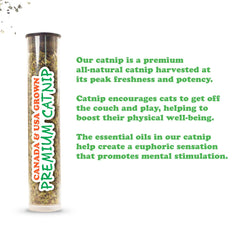 SMARTERPAW Meowijuana Door Jam 'n' Funky Monkey Catnip Toy