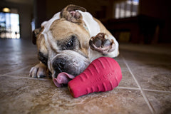 Jolly Pets® Jolly Tuff Toppler – 5" Red