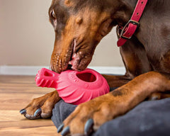 Jolly Pets® Jolly Tuff Treader