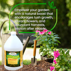 Medina® Liquid Seaweed