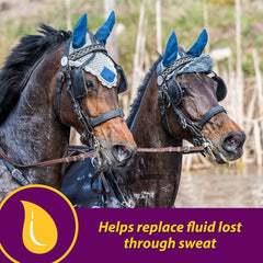 Apple-Dex Electrolytes – 30 lbs