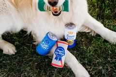 ZippyPaws Squeakie Can - Zippy Extra, Funny Alcohol Dog Toys, Beer Can (one size)
