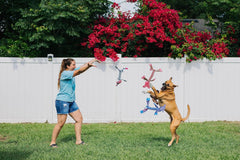 Jolly Pets® Flatheads Tug Dog Toy – Monkey