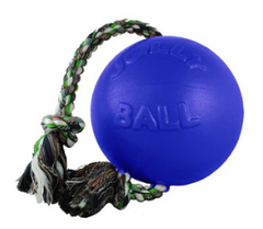 Jolly Pets® Romp-N-Roll Interactive Dog Toy – Blue