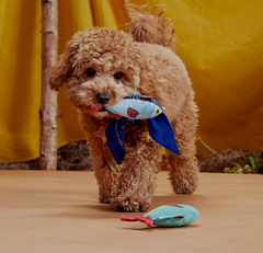 Bark Twins Trout Fish Plush Dog Toy Extra Small / Small