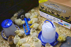 Beginner Poultry Kit