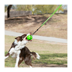 Jolly Pets® Tree Tugger – Green