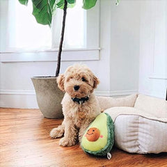 ZippyPaws NomNoms Plush Avocado Dog Toy
