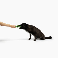 Jolly Pets® Tik Tak Tugzz Rope Dog Toy