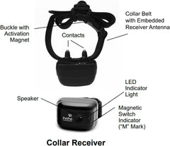 D.T. Systems Canine Coach 360 E-Collar