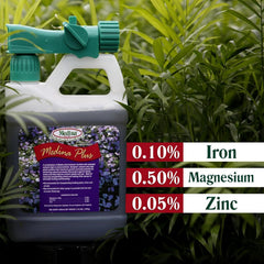Medina® Plus – Enhanced Soil Activator & Foliar Feed