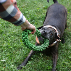 Jolly Pets® Tik Tak Tugzz Rope Dog Toy – O-Shaped