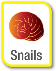 Tetra 41003 Stay Clean Bio-Bag Large 1 Pack, 1 CT