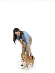 PetSafe CareLift Rear Support Harness - Lifting Aid with Handle - Great for Pet Mobility and Older Dogs - Comfortable, Breathable Material - Easy to Adjust - Small