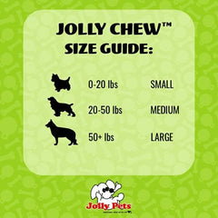 Jolly Pets® Jolly Bone Durable Interactive Float Chew Dog Toy