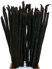 Etta Says Rabb Chew 3' Black 1 stick