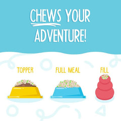 Weruva Meals 'n More Natural Wet Dog Food, Steak Frites Dinner Plus Skin & Coat Health (Pack of 12)