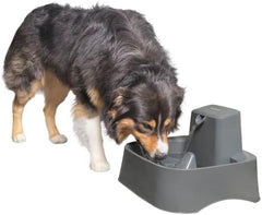 Drinkwell - PetSafe Oasys 2 Gallon Pet Fountain